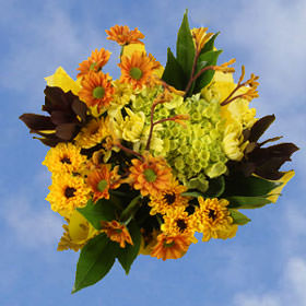 Image of ID 495071622 8 Fall Yellow Flower Bouquets