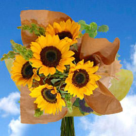 Image of ID 495071635 4 Bouquets of Sunflowers