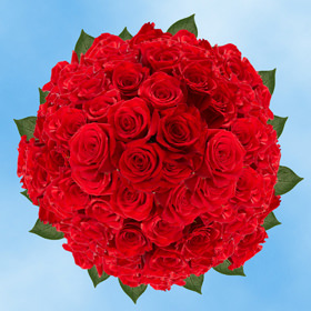 Image of ID 495071641 150 Fresh Cut Bright Red Roses