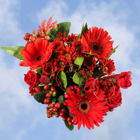 Image of ID 495071671 8 Fall Red Flower Bouquets