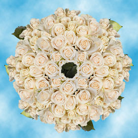 Image of ID 495071708 250 Vendela Roses Wholesale