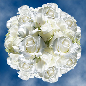 Image of ID 495071744 100 White Roses Free Delivery