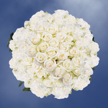 Image of ID 495071770 200 White Roses Free Delivery