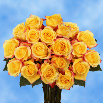 Image of ID 495071775 75 Yellow Tressor Roses