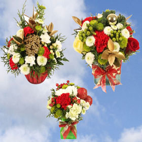 Image of ID 495071792 3 Christmas Bouquets with Vase