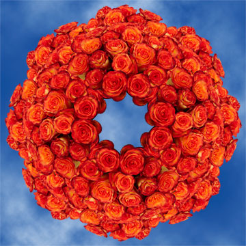 Image of ID 495071801 12 Centerpieces Premium Roses
