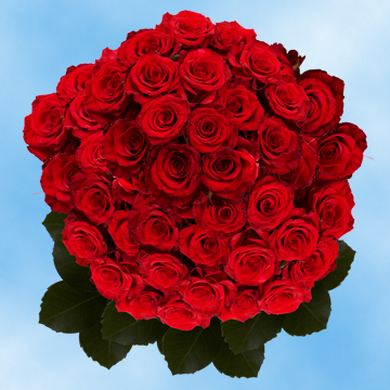 Image of ID 495071818 150 Red Roses Free Delivery