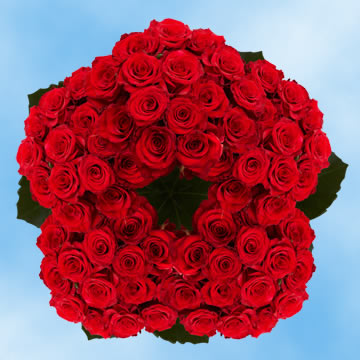 Image of ID 495071836 250 Red Roses Free Delivery