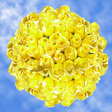 Image of ID 495071841 200 Lemon Yellow Roses