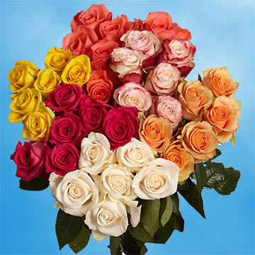 Image of ID 495071844 150 Assorted Color Carnations