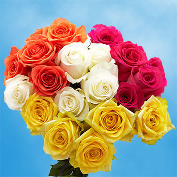 Image of ID 495071845 75 Assorted Color Carnations