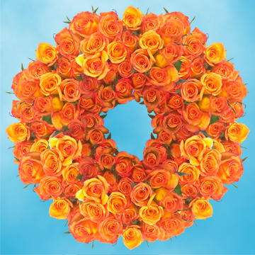 Image of ID 495071852 250 Dark Orange Roses