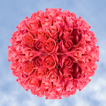 Image of ID 495071855 150 Fresh Deep Hot Pink Roses