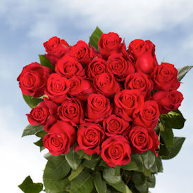 Image of ID 516471879 400 Red Roses Next Day