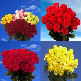 Image of ID 516471907 100 Mothers Day Assorted Roses