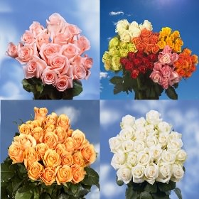 Image of ID 516471926 75 Mother's Day Assorted Roses