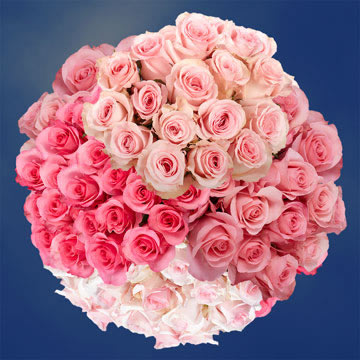Image of ID 516471968 100 Pink Roses Next Day