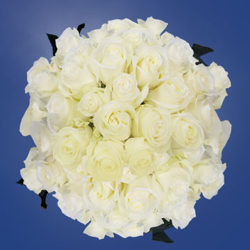 Image of ID 516472018 150 White Wedding Roses