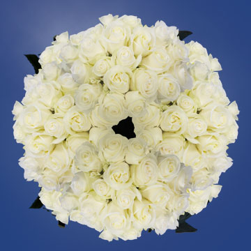 Image of ID 516472028 250 White Wedding Roses