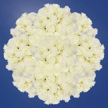 Image of ID 516472029 400 White Wedding Roses
