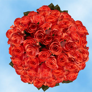 Image of ID 516472048 150 Buy Orange Roses