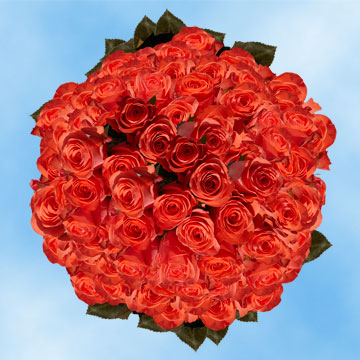 Image of ID 516472054 200 Beautiful Orange Roses
