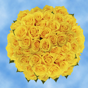 Image of ID 516472061 150 Order Yellow Roses
