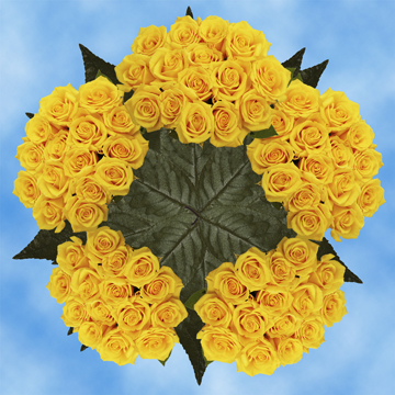 Image of ID 516472073 250 Cheap Yellow Roses