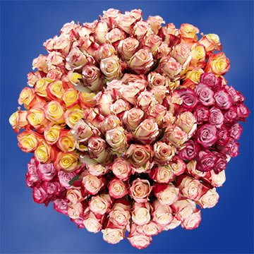 Image of ID 516472081 100 Fresh Multicolor Roses