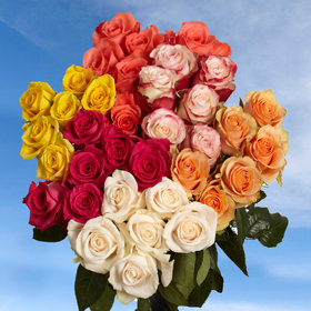 Image of ID 516472179 200 Assorted Roses Next Day