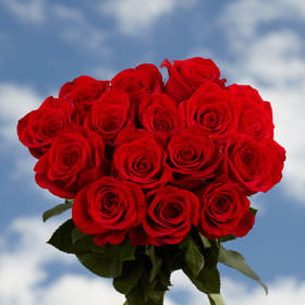 Image of ID 516472182 200 Red Roses Next Day