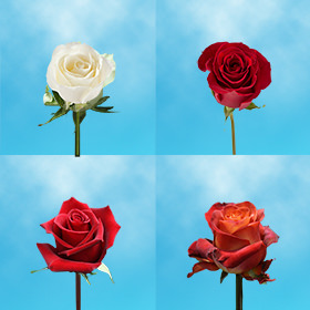 Image of ID 687577284 80 Mother's Day Assorted Roses