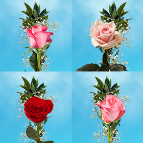 Image of ID 687577288 70 Mother's Day Assorted Roses