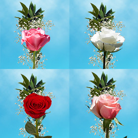Image of ID 687577293 60 Mother's Day Assorted Roses