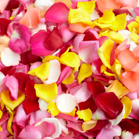 Image of ID 687577514 5000 Assorted Rose Petals