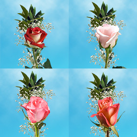 Image of ID 687577567 70 Individual Roses & Fillers