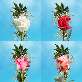 Image of ID 687577571 60 Individual Roses & Filler