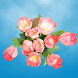 Image of ID 687577762 60 Valentines Day Tulips Sale