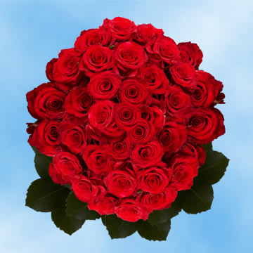 Image of ID 687577766 100 Roses Valentines Delivered