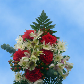 Image of ID 687578946 9 Christmas Bouquets Next Day