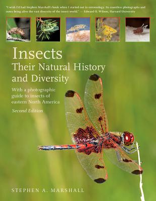 Image of Insects: Their Natural History and Diversity: With a Photographic Guide to Insects of Eastern North America
