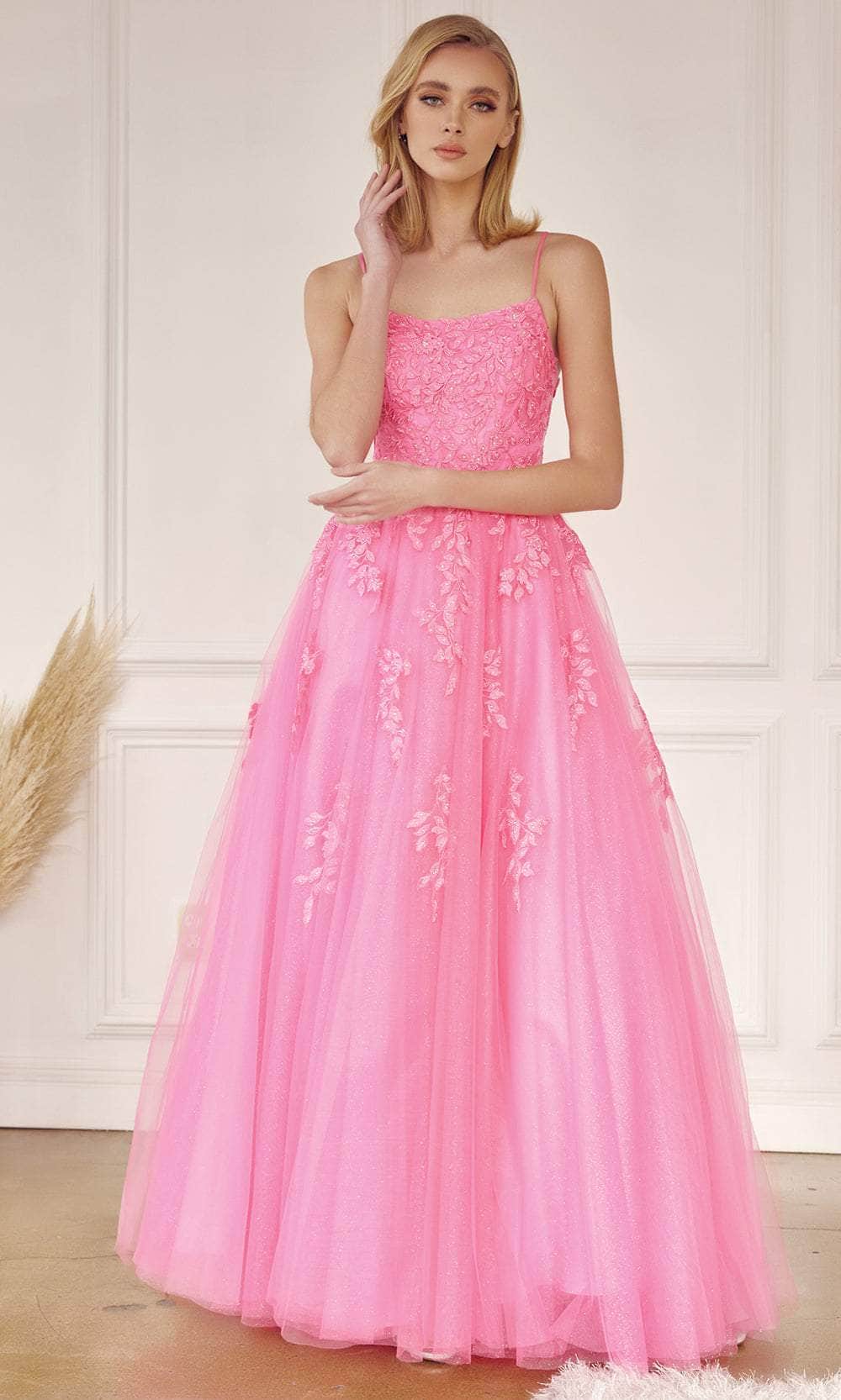 Image of Juliet Dresses 260 - Applique Tulle Prom Dress