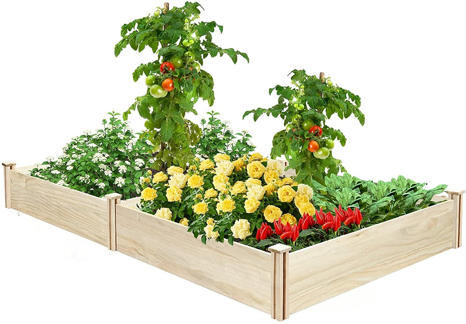 Image of KingSo Raised Garden Bed 8×4×1FT Wooden Garden Bed Elevated Planter Box Outdoor Garden Raised Bed Kit for Vegetable Flow