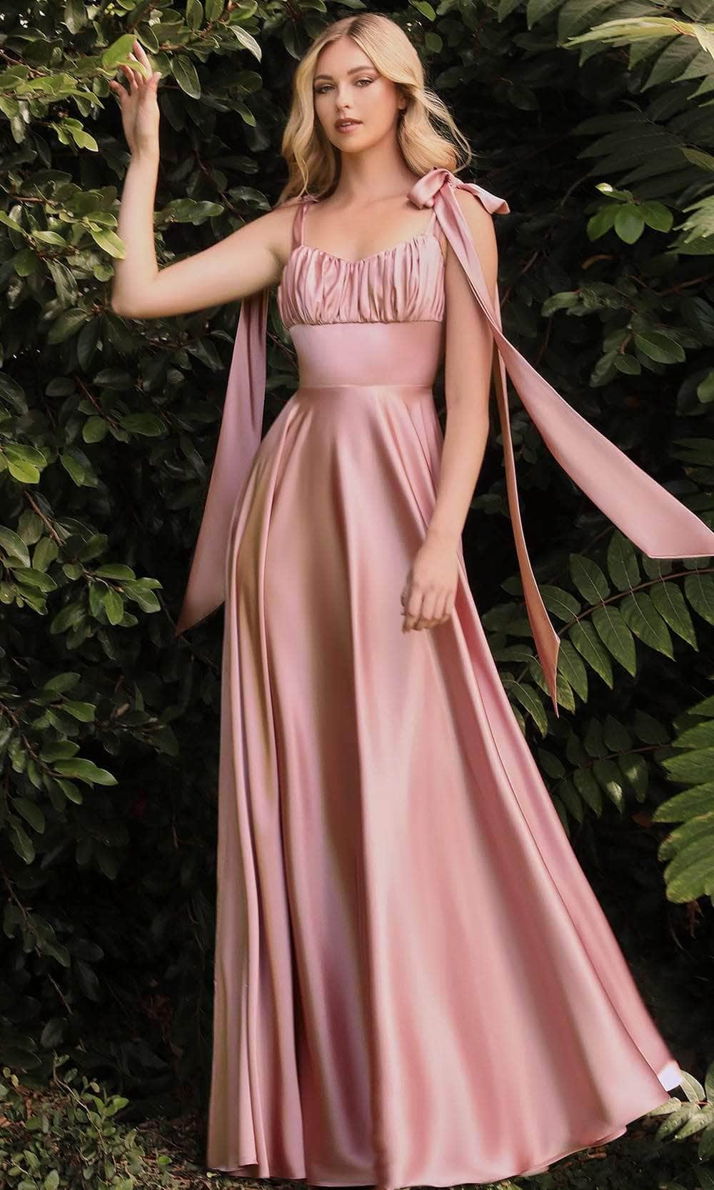 Image of Ladivine 7490 - Soft Satin Affordable Prom A-Line Evening Dress