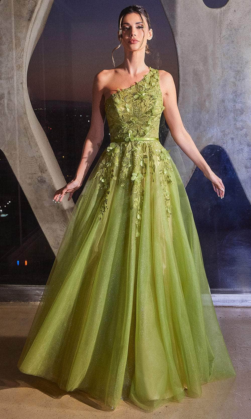Image of Ladivine CB145 - 3D Embellished One-Sleeve Ballgown