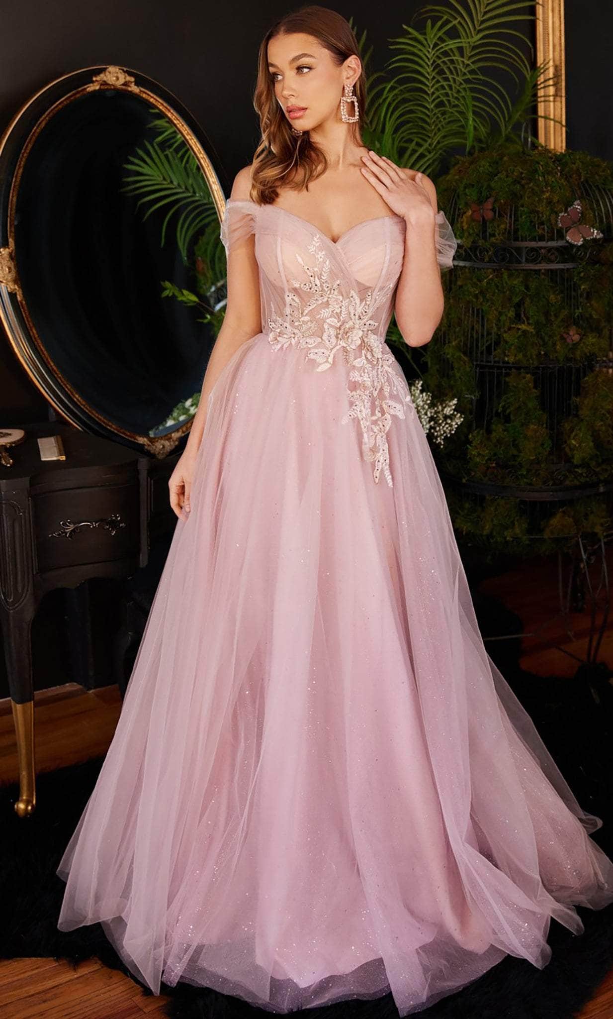Image of Ladivine CD3394 - Embroidered Tulle Prom Gown