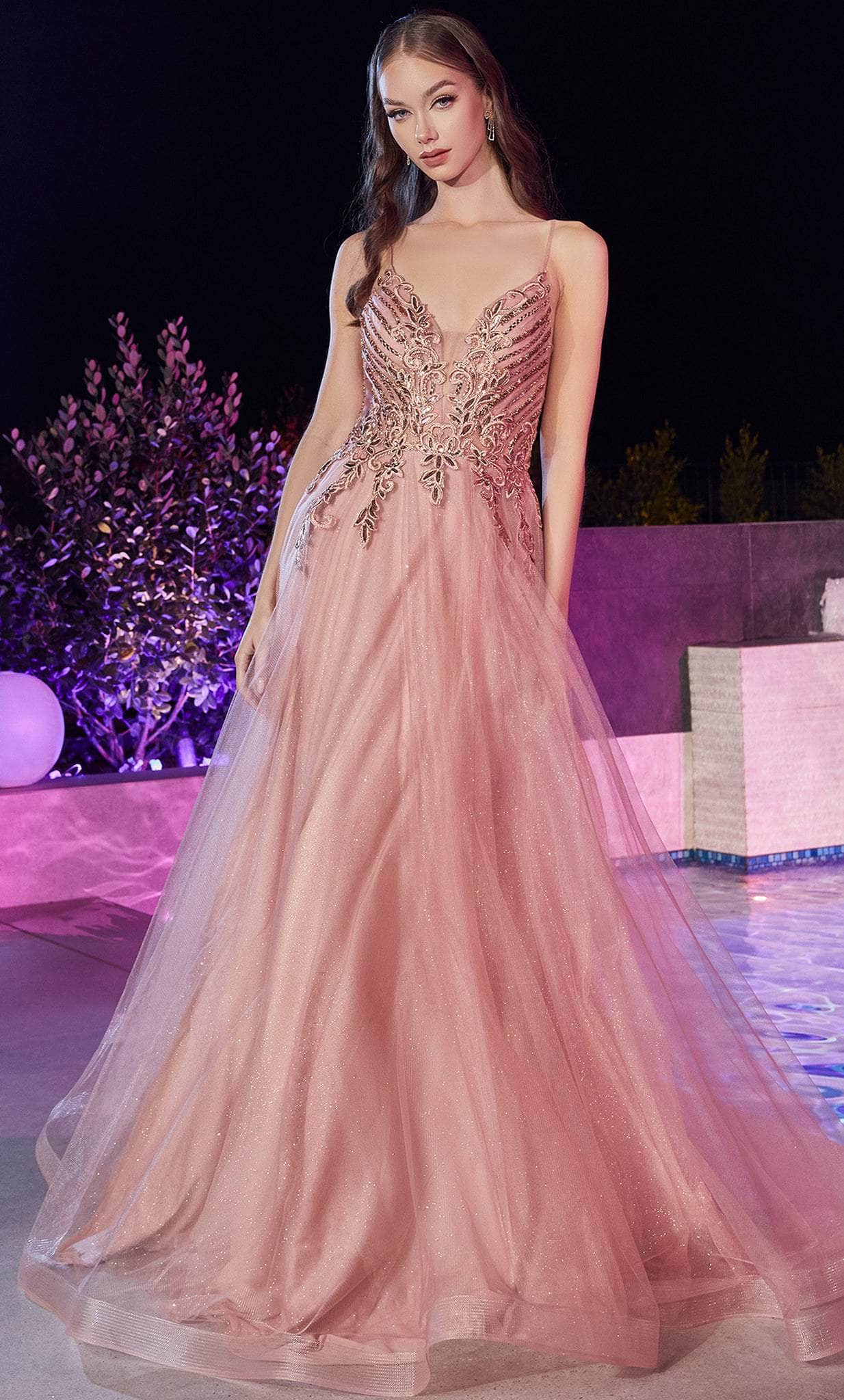 Image of Ladivine CD874 - Applique Tulle Long Classic Prom Dress