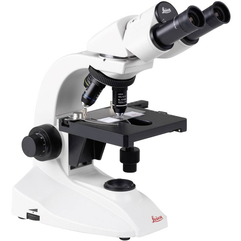 Image of Leica Microsystems 13613384 DM300 Transmission microscope Binocular 1000 x Transmitted light