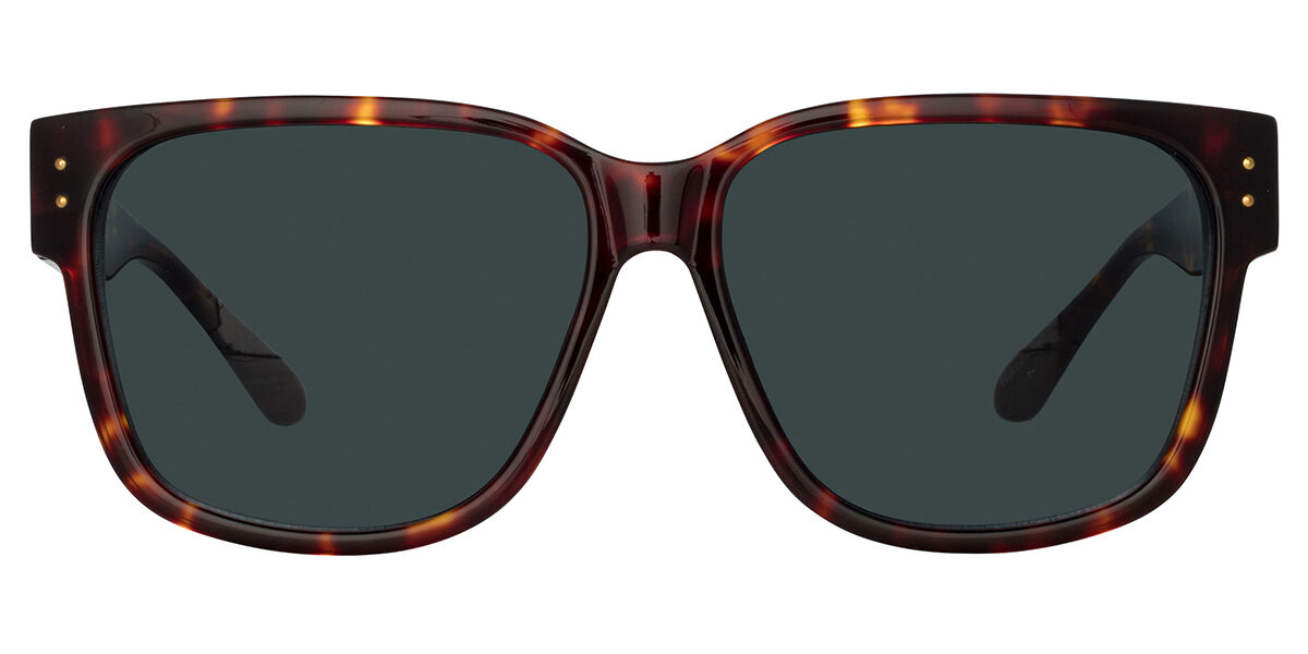 Image of Linda Farrow PERRY LFL1429 C2 Óculos de Sol Tortoiseshell Masculino PRT