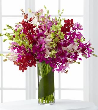 Image of Luminous Luxury Orchid Bouquet